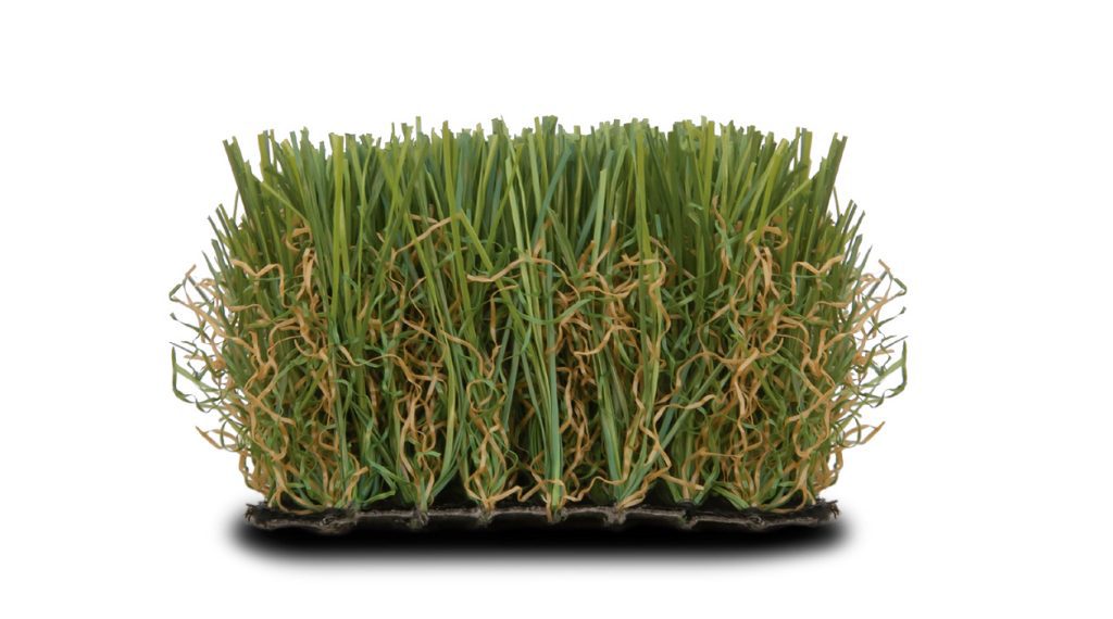 AMAZONAS-55 espacesped