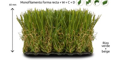 REALEZA-60 - espacesped